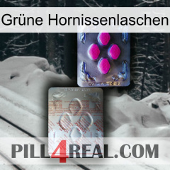 Grüne Hornissenlaschen 38